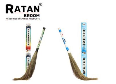 Evergreen Broom