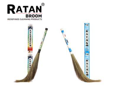Evergreen Broom