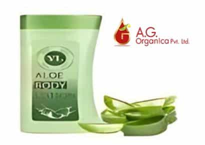 Aloe body