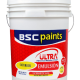 Paint manufacturer